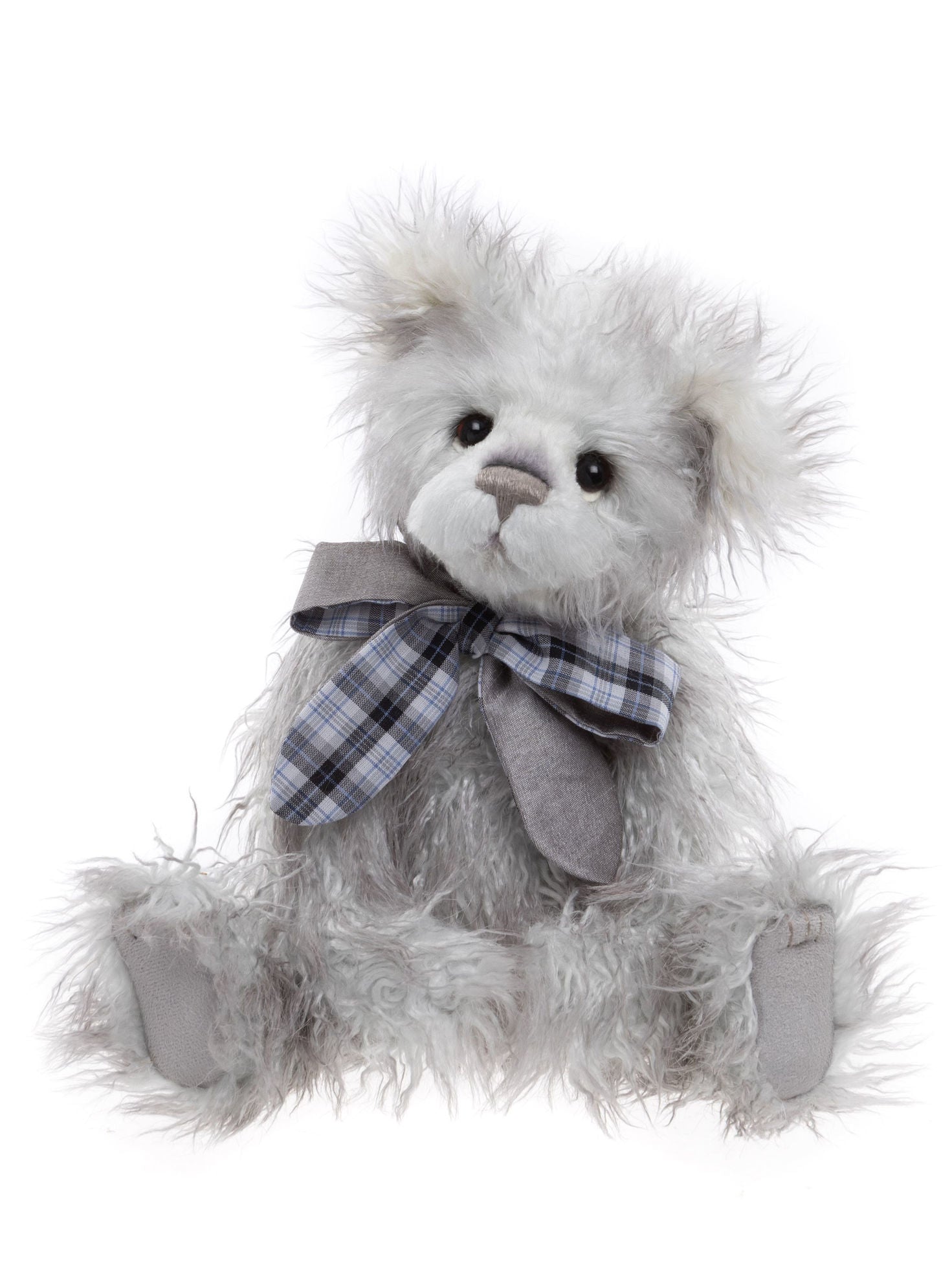 Charlie Year Bear 2025 - Wolfe Nursery
